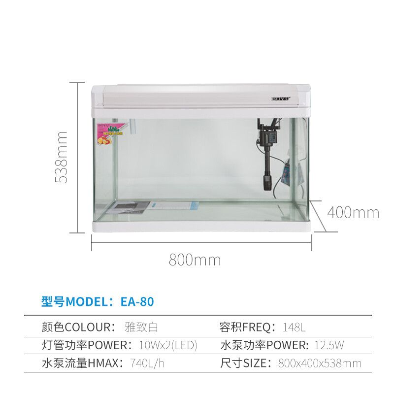 80魚缸尺寸：80魚缸尺寸怎么選擇 80魚缸尺寸：80魚缸尺寸怎么選擇 魚缸百科 第3張
