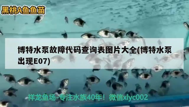 博特水泵故障代碼查詢表圖片大全(博特水泵出現(xiàn)E07)