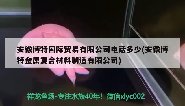 安徽博特國(guó)際貿(mào)易有限公司電話多少(安徽博特金屬?gòu)?fù)合材料制造有限公司)