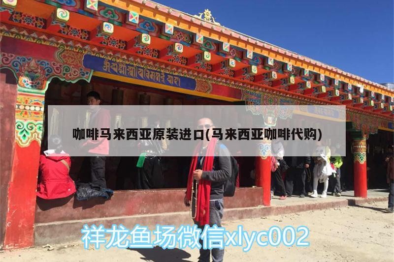 咖啡馬來西亞原裝進口(馬來西亞咖啡代購)