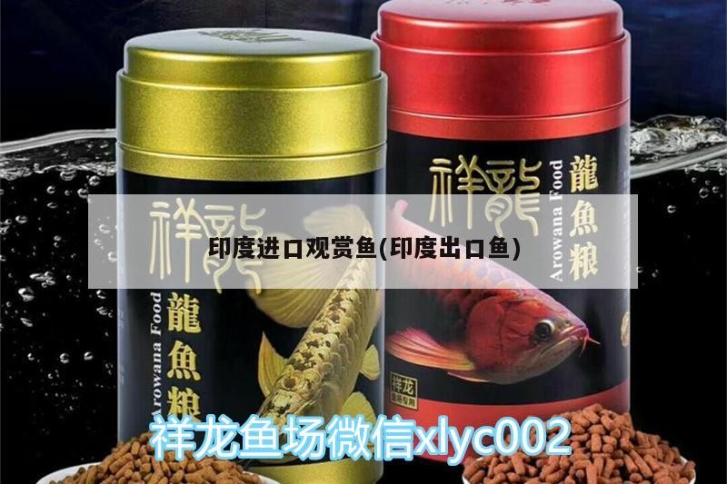 印度進(jìn)口觀賞魚(印度出口魚)