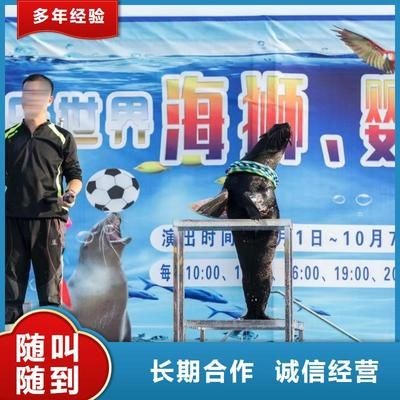 呼和浩特龍魚vs祥龍魚場（呼和浩特龍魚祥龍魚場在養殖環境、龍魚品種、價格策略評價）