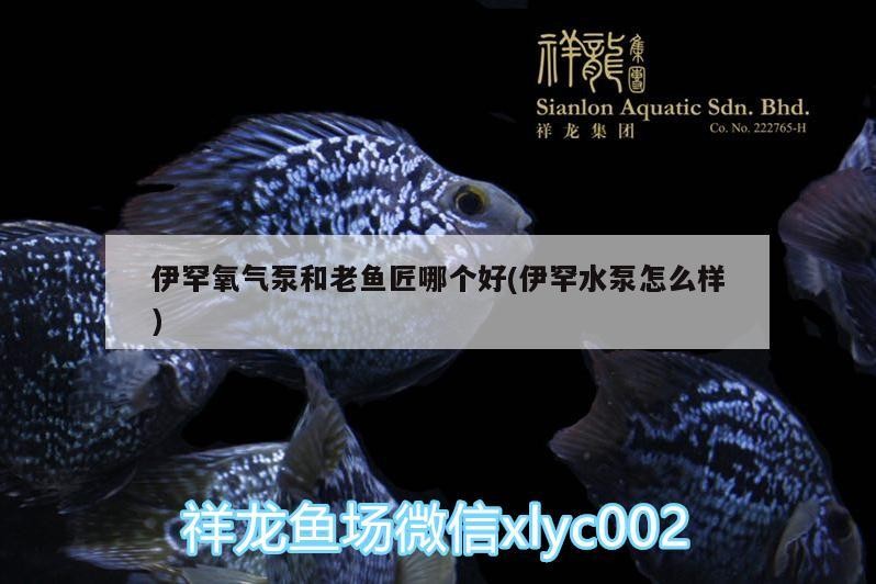 伊罕氧氣泵和老魚匠哪個(gè)好(伊罕水泵怎么樣)