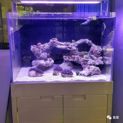 玻璃魚缸過濾器怎么安裝視頻教學：魚缸過濾器的安裝方法