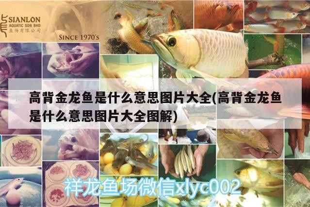 伊罕過濾桶機頭拆解圖片大全：伊罕過濾桶怎么進水