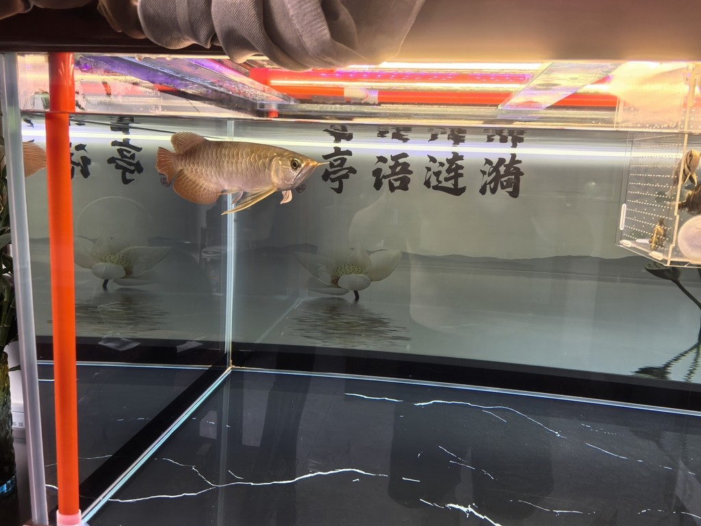 堅持愛好！！