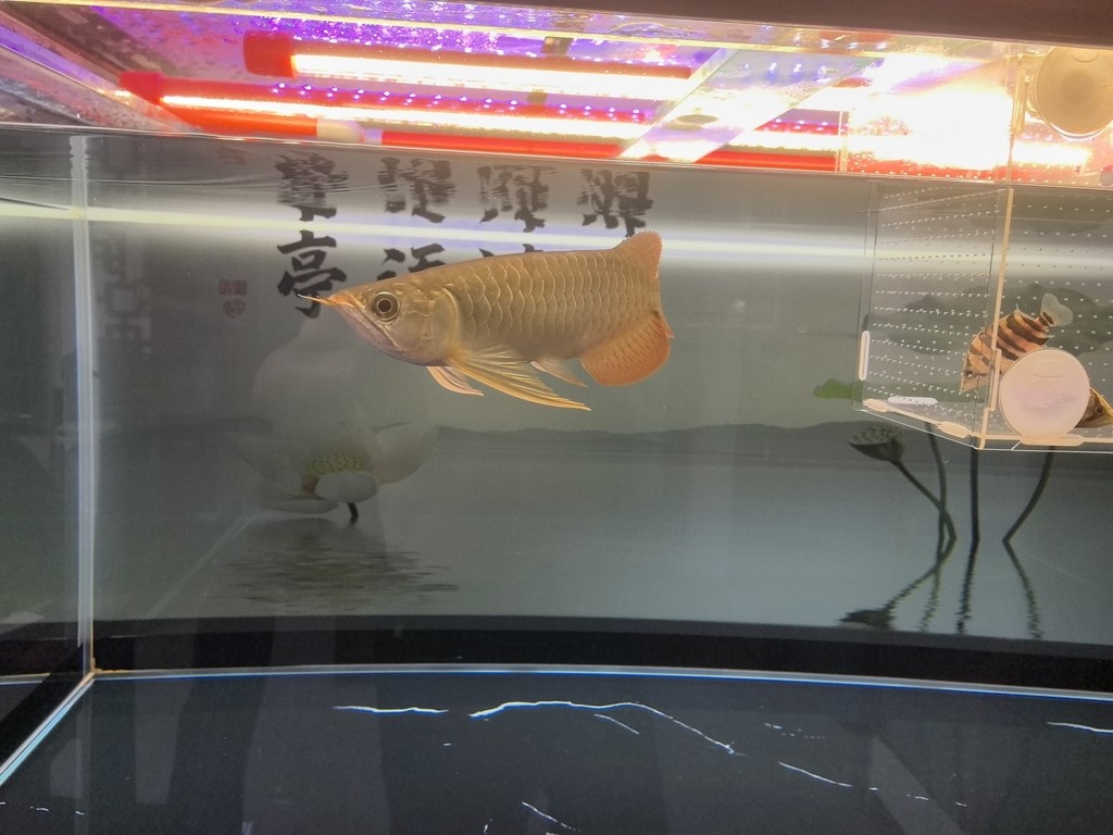 堅持愛好！！