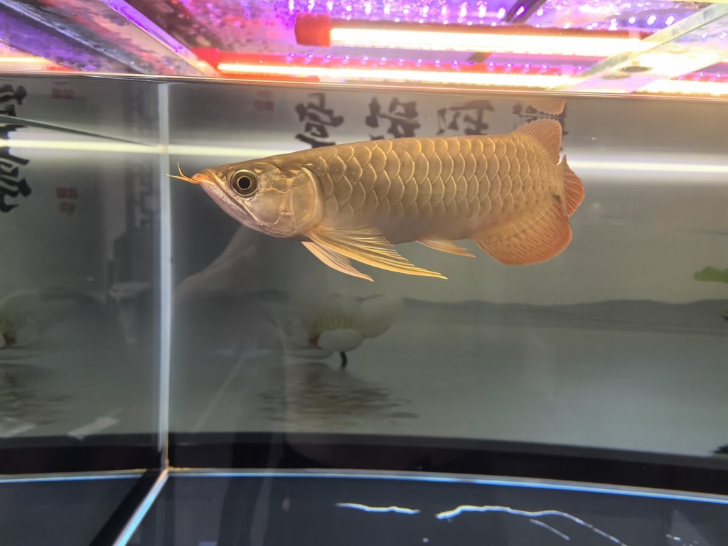 堅持愛好！！