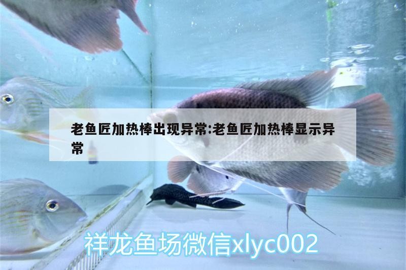 老魚匠加熱棒出現異常:老魚匠加熱棒顯示異常
