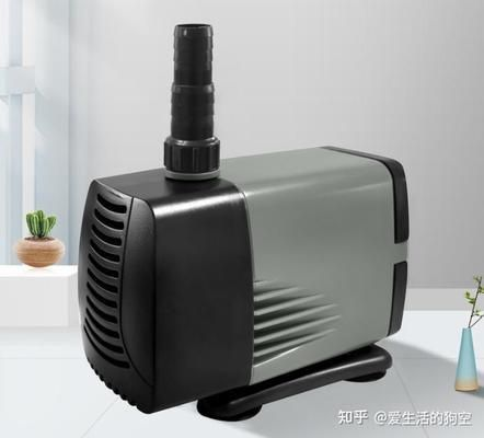 魚缸水泵酷魚博特老魚將牌子哪個(gè)好：酷魚博特老魚將牌子哪個(gè)好