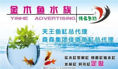 森森水族集團宣片