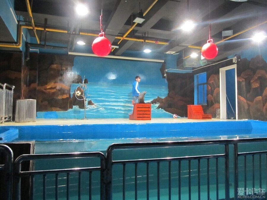 鄂州水族館vs祥龍魚場（湖北鄂州水族館是一個專注于龍魚養殖和出口的企業）
