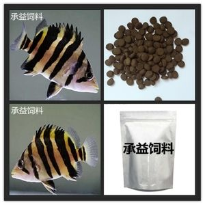 印尼虎魚多久喂一次飼料：印尼虎魚喂食頻率取決于其年齡和飲食習慣，每天喂食一次左右