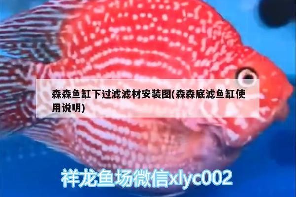 水管魚缸的設(shè)計圖怎么畫