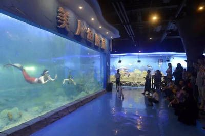 阜陽水族館vs祥龍魚場（安徽阜陽水族館和祥龍魚場的營業時間和聯系方式對比）