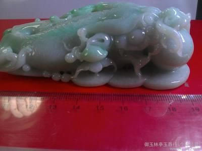 玉林龍魚vs祥龍魚場（玉林龍魚與祥龍魚場之間的區(qū)別）