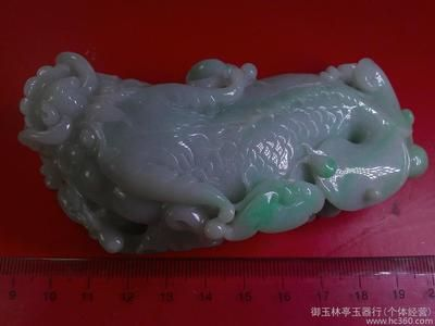 玉林龍魚vs祥龍魚場（玉林龍魚與祥龍魚場之間的區(qū)別）