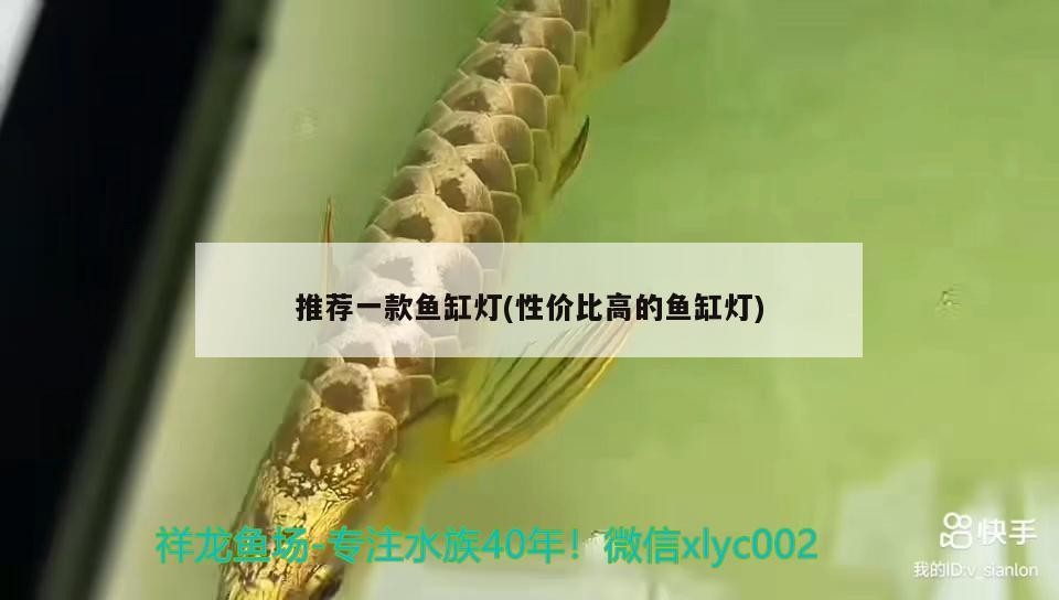 推薦一款魚缸燈(性價比高的魚缸燈)