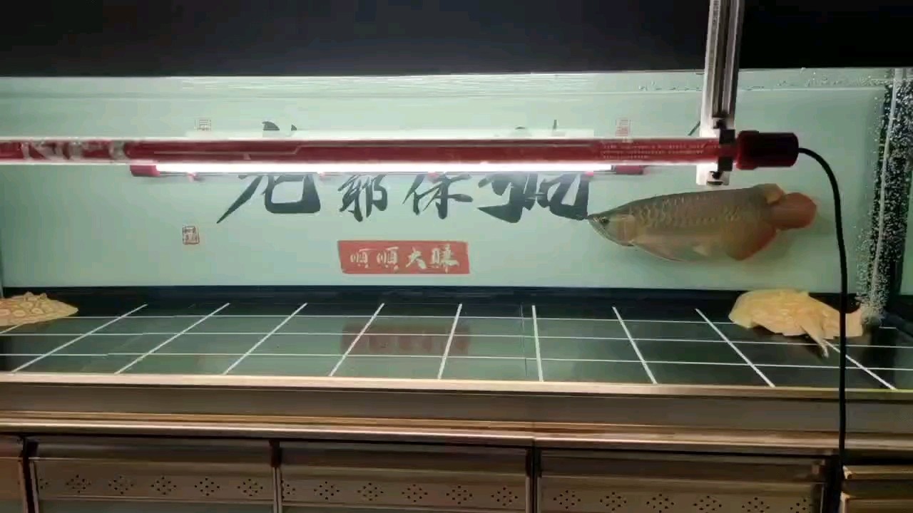 開始側燈模式～