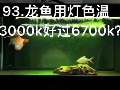 可麗愛(ài)魚缸廠家電話：神木可麗愛(ài)魚缸專賣店，打造您的夢(mèng)幻水族世界