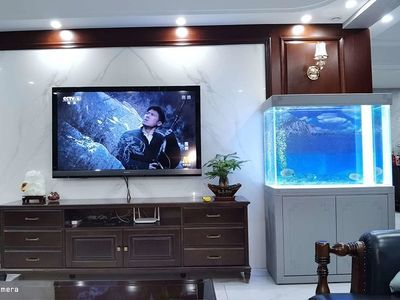 碧歐寶魚缸為啥這么貴：為什么碧歐寶魚缸的價格比較高？