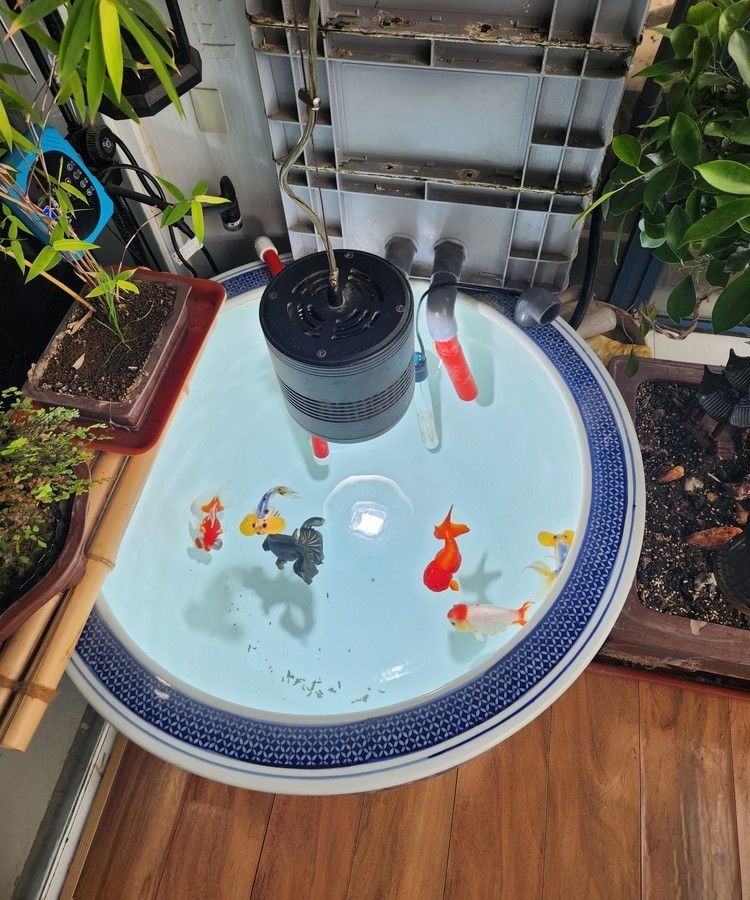 好久沒在這里了
