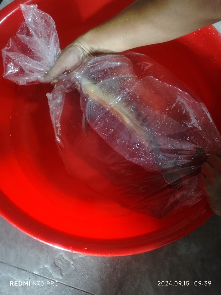 圈選打卡 撞缸把嘴撞歪了，趁假期，稍微修一下