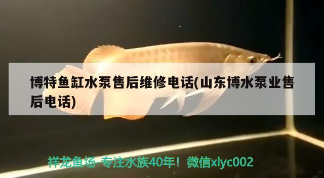 博特魚缸水泵售后維修電話(山東博水泵業售后電話)