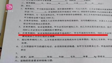 博特寵物診所電話號碼：博特寵物診所電話號碼是19866098916