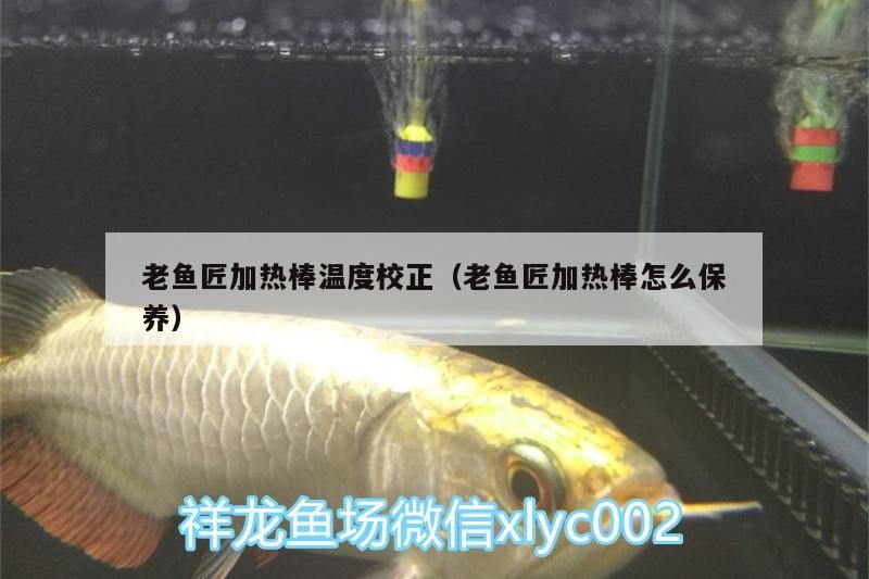 老魚匠加熱棒溫度校正（老魚匠加熱棒怎么保養）