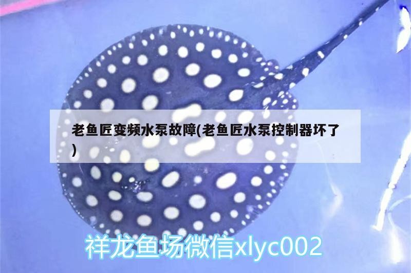 老魚匠變頻水泵故障(老魚匠水泵控制器壞了)