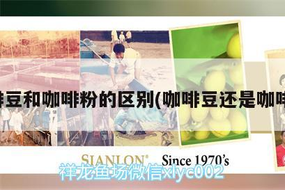 咖啡豆和咖啡粉的區別(咖啡豆還是咖啡粉)