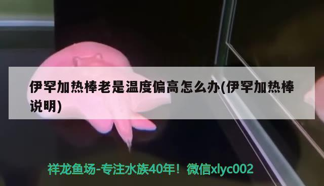 伊罕加熱棒老是溫度偏高怎么辦(伊罕加熱棒說(shuō)明)