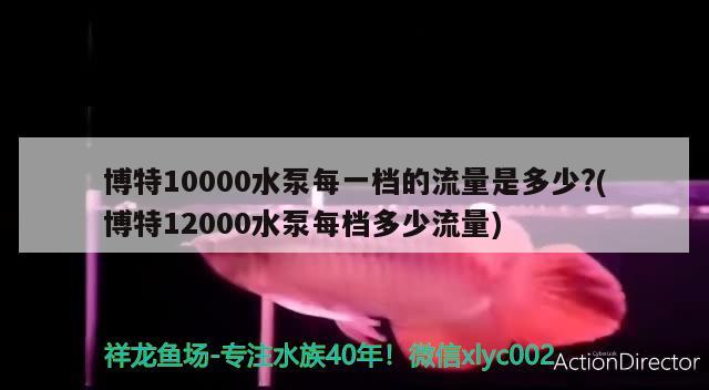 博特10000水泵每一檔的流量是多少?(博特12000水泵每檔多少流量)