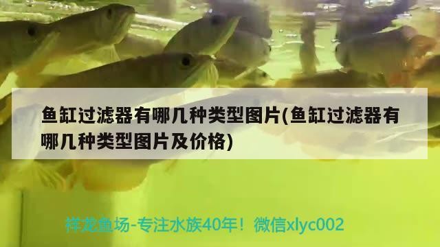 伊罕水泵缺點:伊罕氣泵怎么樣 伊罕水泵缺點:伊罕氣泵怎么樣 伊罕水族 第2張