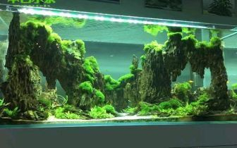 創(chuàng)寧水泵官方網(wǎng)站電話是多少啊（創(chuàng)寧水泵官方網(wǎng)站電話是多少啊）