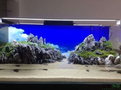 5米超大魚(yú)缸制作視頻：制作5米超大魚(yú)缸需要注意什么？ 5米超大魚(yú)缸制作視頻：制作5米超大魚(yú)缸需要注意什么？ 魚(yú)缸百科 第4張