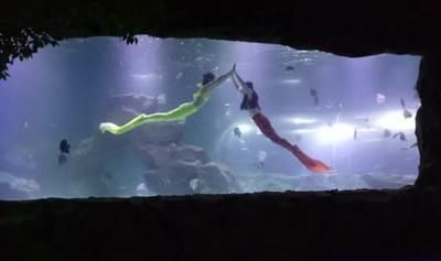 能推薦一些主角養龍魚的小說嗎，《飼養惡龍指南》主角養龍魚的主要情節是什么