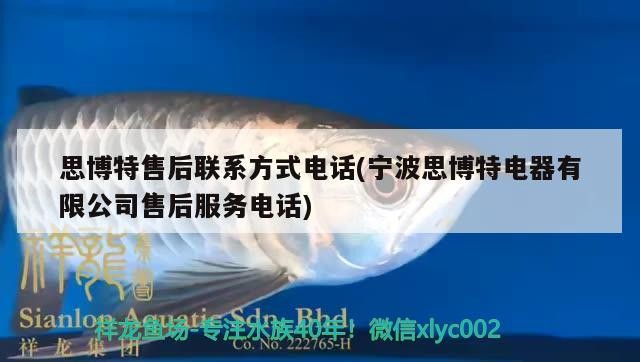 思博特售后聯系方式電話(寧波思博特電器有限公司售后服務電話)