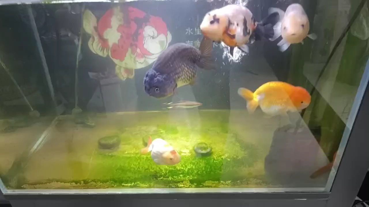 水還行吧