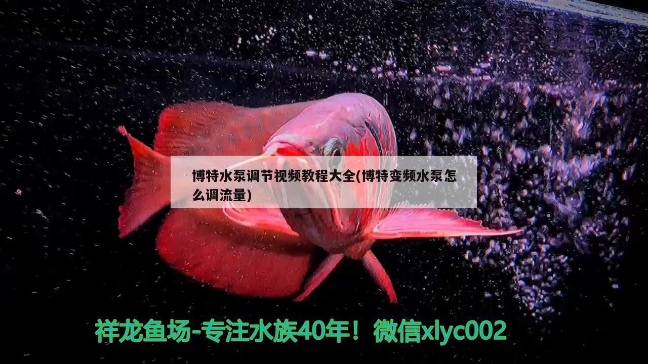 博特水泵調節視頻教程大全(博特變頻水泵怎么調流量)