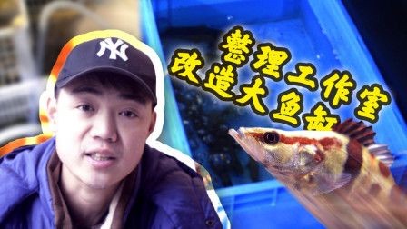 虎魚長紅包：虎魚身上出現紅包可能有多種原因