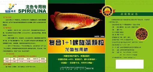 東營龍魚vs祥龍魚場（東營龍魚養殖和出口領域具有較高的專業水平和國際聲譽） 東營龍魚vs祥龍魚場（東營龍魚養殖和出口領域具有較高的專業水平和國際聲譽） 全國水族館企業名錄 第4張
