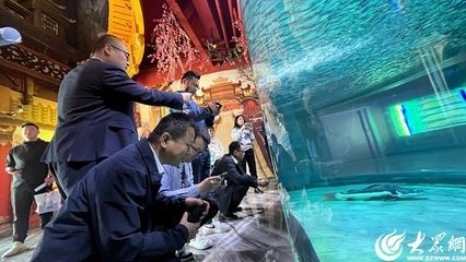 東營龍魚vs祥龍魚場（東營龍魚養殖和出口領域具有較高的專業水平和國際聲譽） 東營龍魚vs祥龍魚場（東營龍魚養殖和出口領域具有較高的專業水平和國際聲譽） 全國水族館企業名錄 第6張