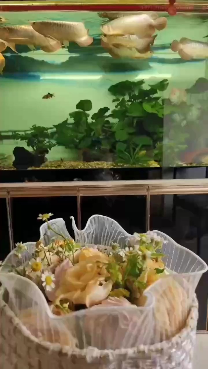 中秋前來一波