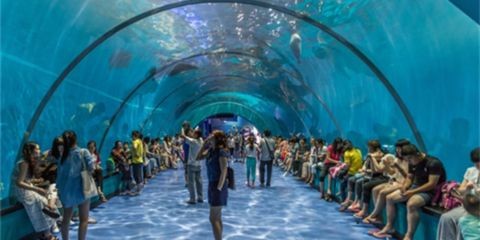 石家莊水族館vs祥龍魚場（石家莊水族館與祥龍魚場各有其特色和側(cè)重點）