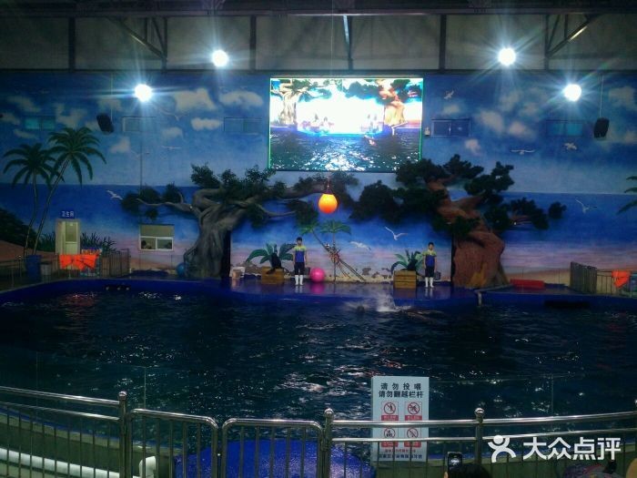 石家莊水族館vs祥龍魚場（石家莊水族館與祥龍魚場各有其特色和側(cè)重點）
