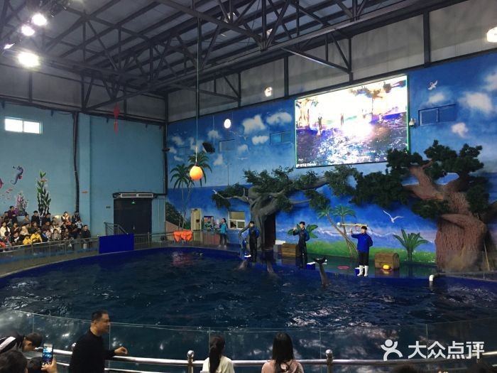 石家莊水族館vs祥龍魚場（石家莊水族館與祥龍魚場各有其特色和側(cè)重點）