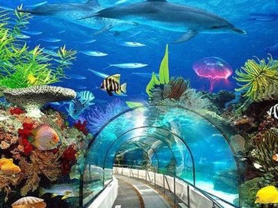 黃石水族館vs祥龍魚場（黃石水族館與祥龍魚場之間的關系）