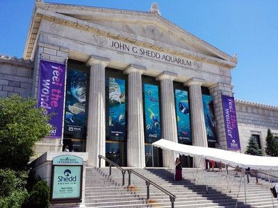 黃石水族館vs祥龍魚場（黃石水族館與祥龍魚場之間的關系）